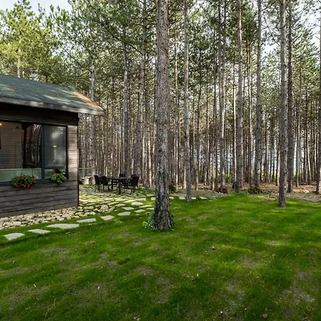 Forest House Vi Willa Warna