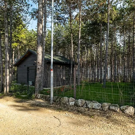 Forest House Vi Warna