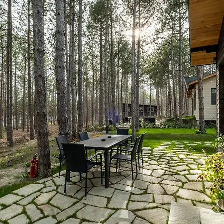 Forest House Vi