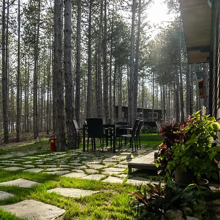Forest House Vi *