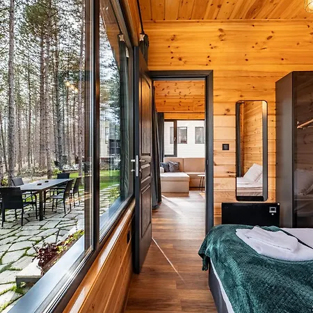 Forest House Vi * Warna