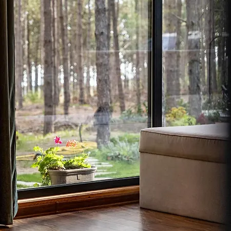 Villa Forest House Vi