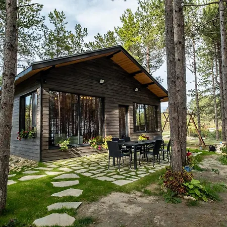 Forest House Vi Villa