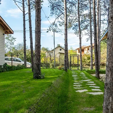 Forest House Vi * Várna