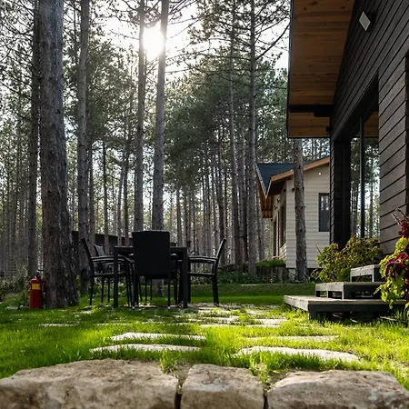 Forest House Vi 빌라