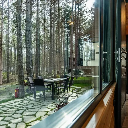 Forest House Vi Villa *