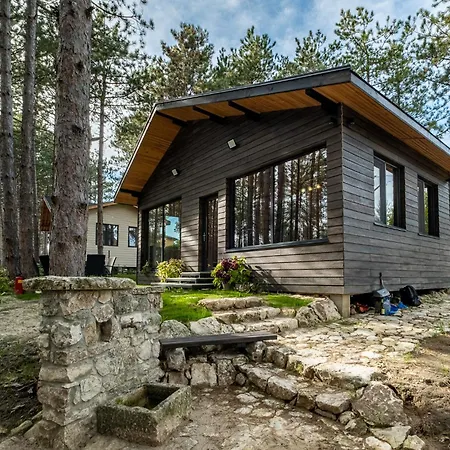 Forest House Vi Villa Várna