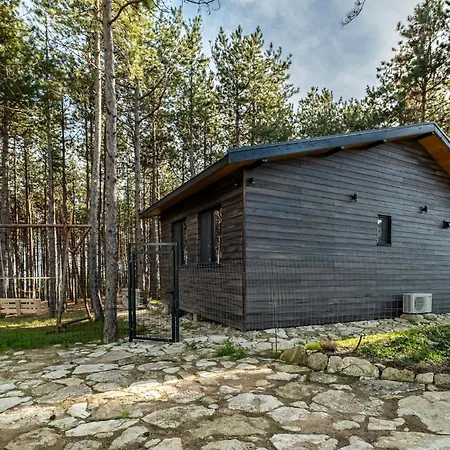 Forest House Vi Villa Várna