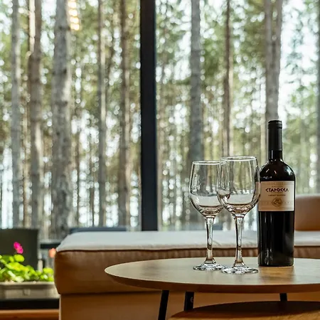 Villa Forest House Vi Várna