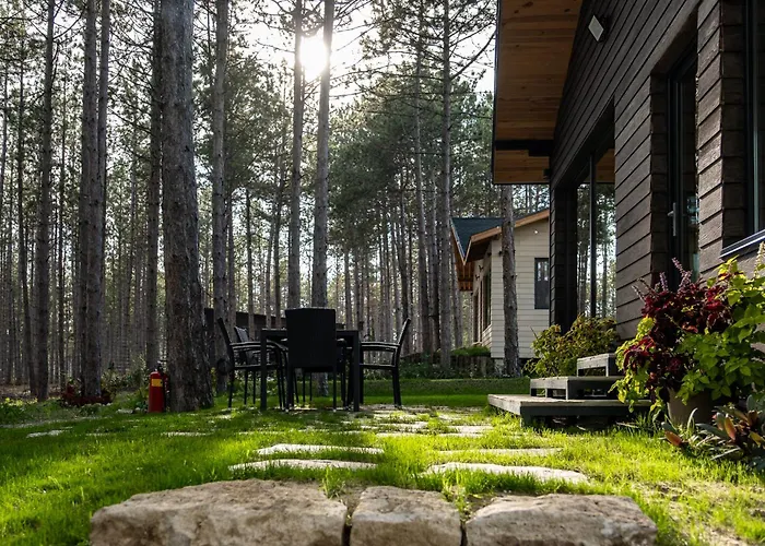 Forest House Vi 빌라