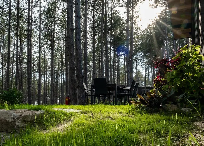 Вилла Forest House Vi